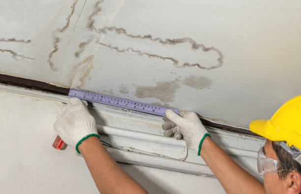 Reliable Sewage Cleanup contractor in Harrington Park, NJ by Water Damage Irwin